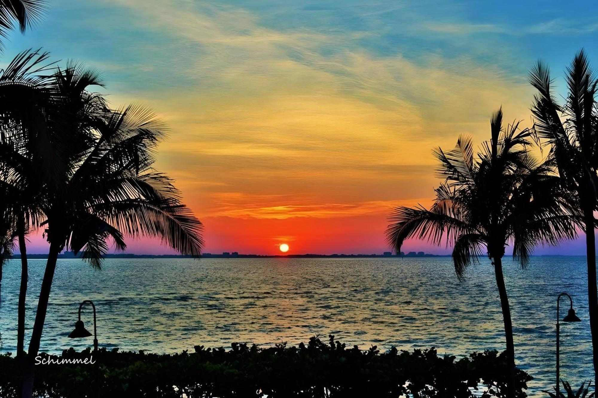 Appartement Luxury Zen Den With Heated Pool Just Off Siesta Key à Sarasota Extérieur photo