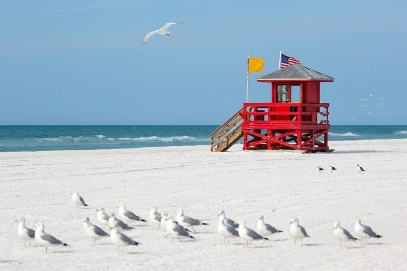 Appartement Luxury Zen Den With Heated Pool Just Off Siesta Key à Sarasota Extérieur photo